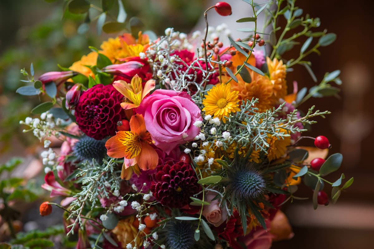 Floristería en Ponteareas